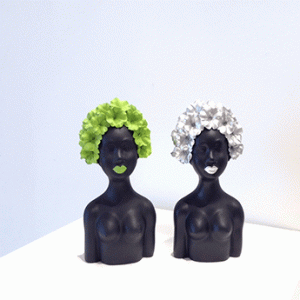 Afros-flor-ll-NW